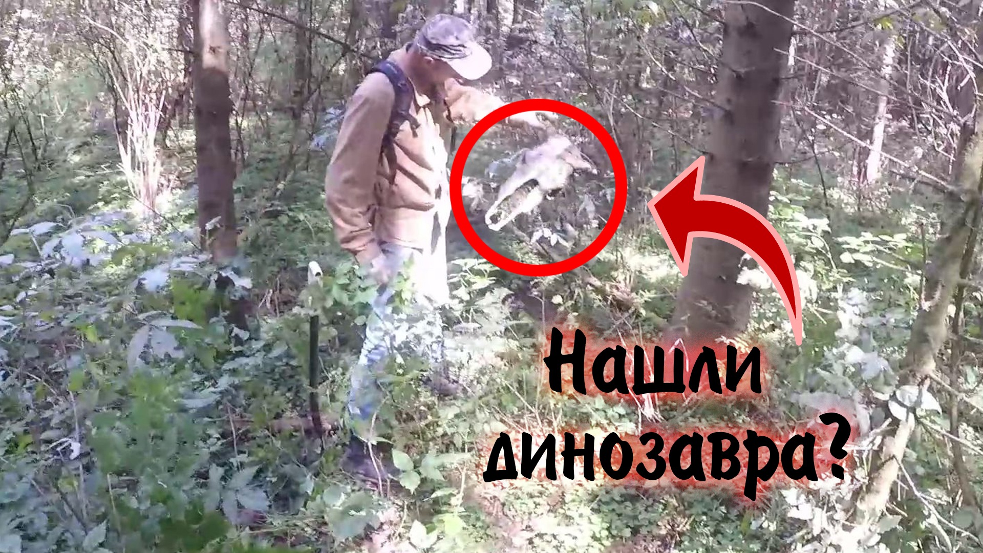 Коп на немецких и русских позициях смотреть онлайн