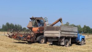 Комбайны НИВА в работе.4K.