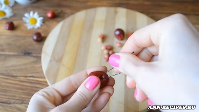 Как удалить косточки из ягод. Как вытащить косточку из вишни и черешни. смотреть онлайн