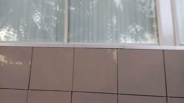 Стихийный рынок овощами и фруктами на бульваре Энгельса в Красноармейском районе Волгограда 09 2021