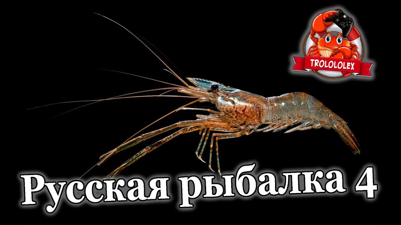 Русская рыбалка 4 Ловим на креветку смотреть онлайн