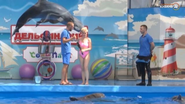 Хорошее утро в Дельфинарии Сочи Парка, Кубань-24 смотреть онлайн