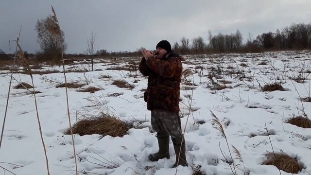 Гусиные голоса. Обзор духовых манков на белолобого гуся. смотреть онлайн