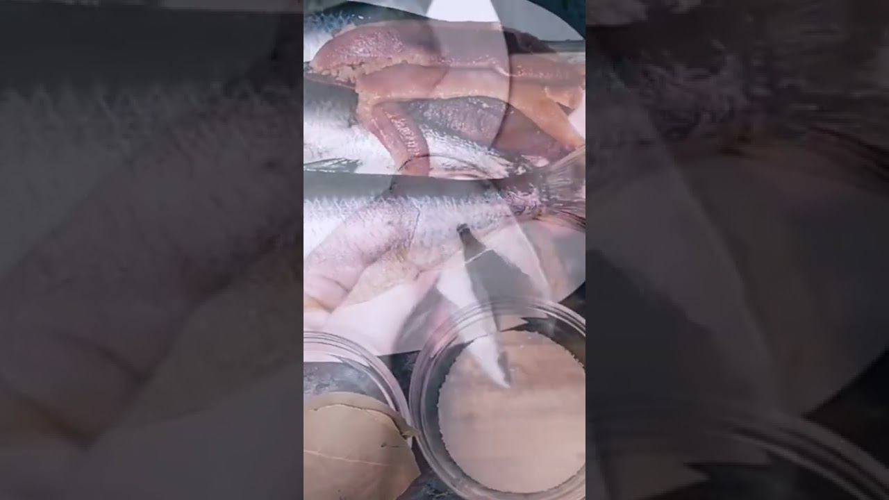 малосольная рыба сельдь смотреть онлайн