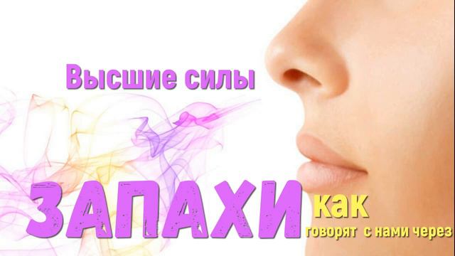 Высшие силы говорят с нами через запахи смотреть онлайн