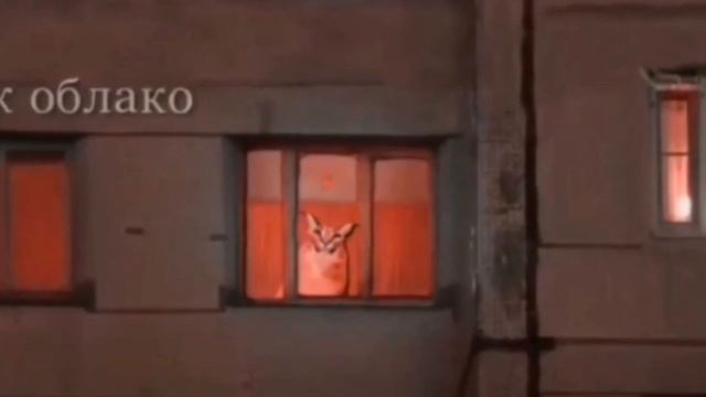 Белая ночь опустилась как облако ...