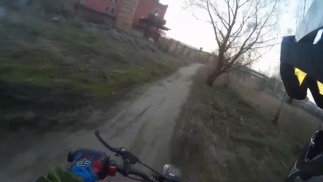 собаки кинулись под колеса смотреть онлайн