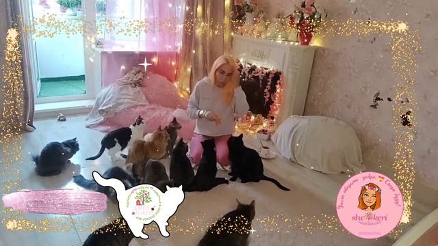 ? Вот она - видимая благодарность от донатов и подарков ? малыши получили в подарок вкусняшки ? смотреть онлайн