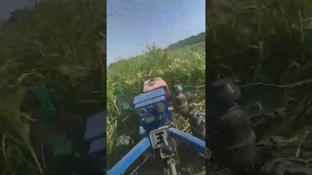 Мотоблок Зубр - Косилка (Жатка) REAPER смотреть онлайн