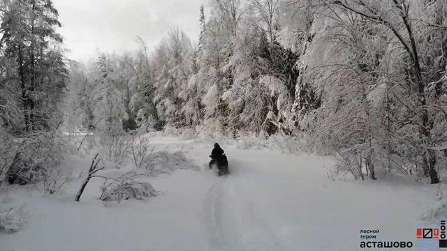 Snowmobile Winter 2019 (Feb 2019) смотреть онлайн