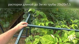 Преимущества V-образной шпалеры для малины