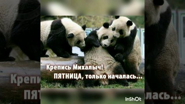 Павел Алещенко - По пятницам смотреть онлайн