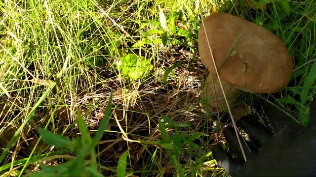 9 августа 2021 г.(1) смотреть онлайн