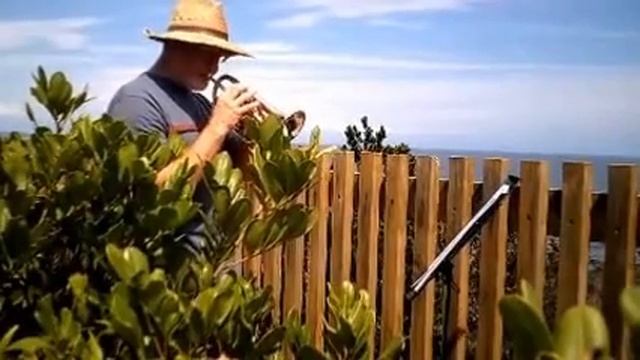 Satchmo by the sea смотреть онлайн