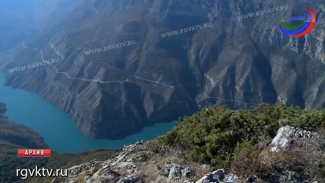 В России легализовали охоту с луком и стрелами смотреть онлайн