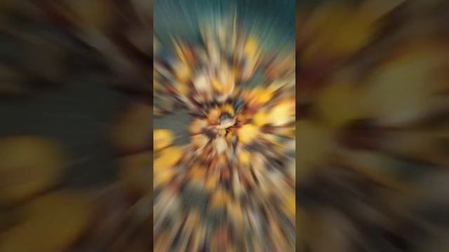 Грибной суп ? из шампиньонов ?