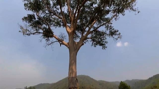 #รีวิว ทดสอบระยะทาง ล้อเดียวไฟฟ้า ฺBegode T4 ที่ เขาสวรรค์ สวนผึ้ง смотреть онлайн