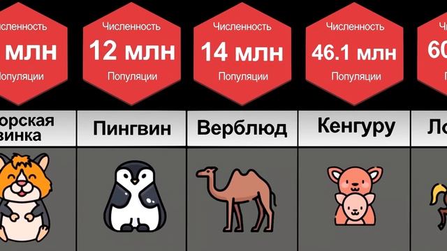 Сравнение: Численность Популяции Животных смотреть онлайн