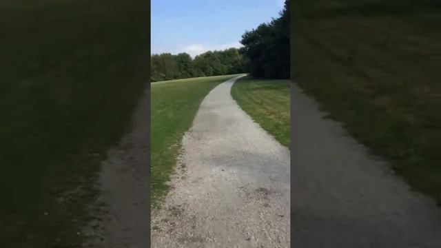 Let's All Really Go Outside - Part 2 (Walking Simulator) смотреть онлайн