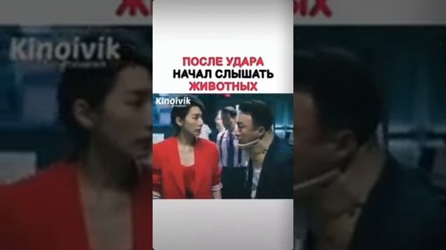 После удара начал слышать животных смотреть онлайн