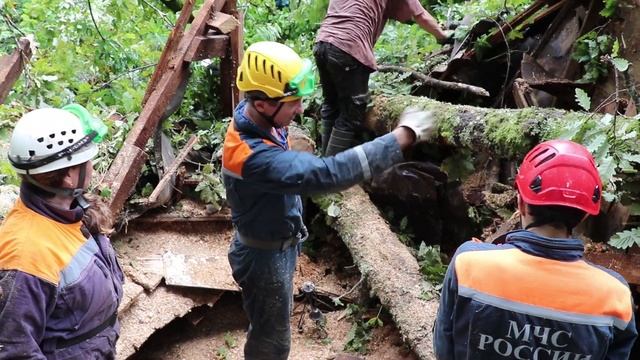 25072019_СТ Дубрава _На мужчину упало дерево смотреть онлайн