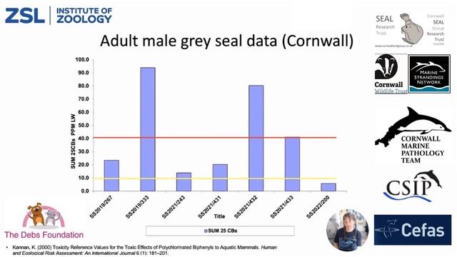 2023 04 19 SW Marine Ecosystems (SWME) Seals 2022 Sue Sayer MBE смотреть онлайн