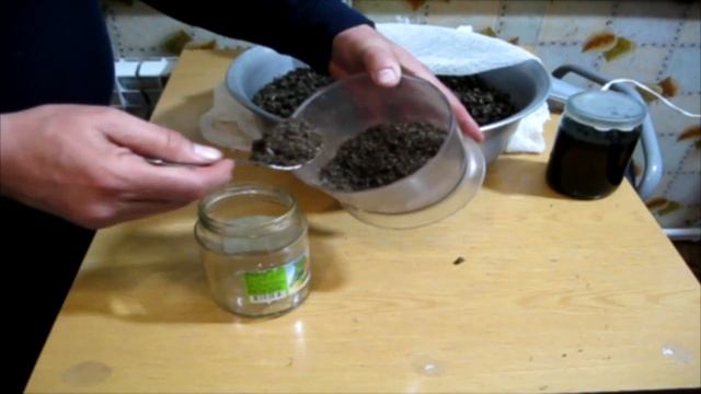 Пчелиный Подмор. Рецепт Пчелиного Подмора или Эликсир Молодости! смотреть онлайн