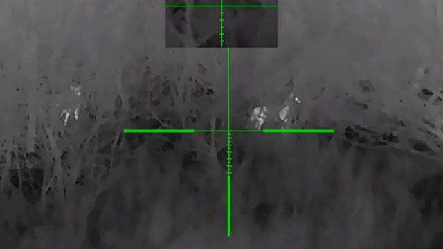 Шакалы в тумане, тростнике, кустарнике. смотреть онлайн