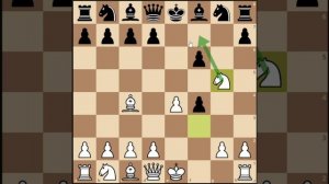 Белые агрессивно разыграли королевский гамбит и поставили мат за 9 ходов