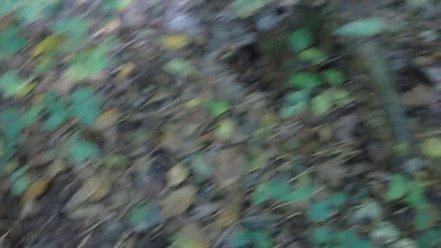 Маслята смотреть онлайн