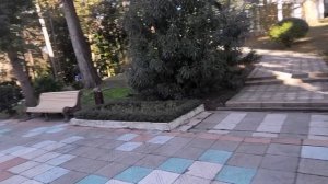 ? Рождество в Сочи, Завтрак в санатории Металлург замёрзли ночью, море, пляж, бассейн по расписанию