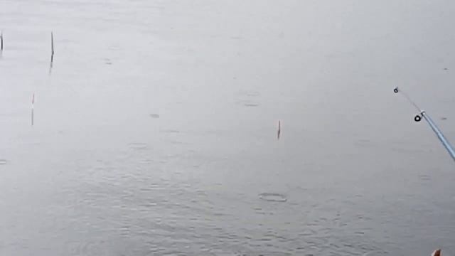 Сугояк 2 сезон открыл 22.04.2020 смотреть онлайн