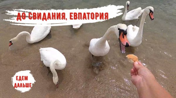 Еще три счастливых дня /До свидания, Крым /Куда дальше?