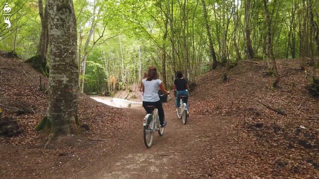 LOCATION DE VÉLO - CHÂTEAU DE CHAMBORD смотреть онлайн