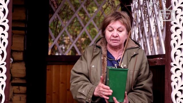 Штамбовая малина и малиновое дерево ? советы от хитсад тв смотреть онлайн