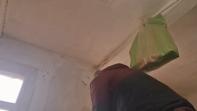 что с глазом у курочки? смотреть онлайн