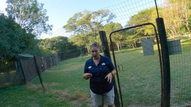 Meeting The ENDANGERED Cats Of South Africa ??[S5 - Eps. 11]