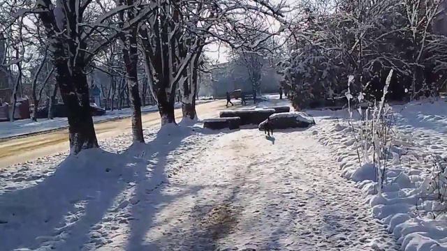 Днём красиво,а вечером темно.Мы ,как совы. смотреть онлайн