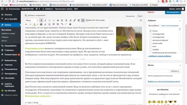 Выделение текста в статье на сайте на вордпресс смотреть онлайн