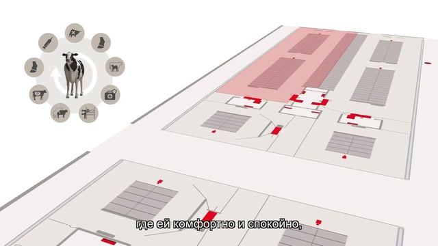 Принципы работы крупных ферм с роботами Lely