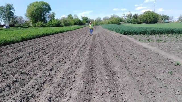 Борона по підгорнутій картоплі смотреть онлайн