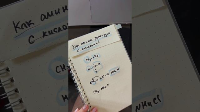 Как амина реагируют с кислотами?