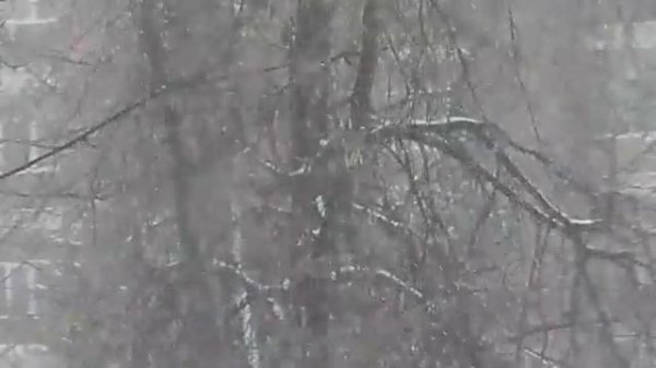 Такого снегопада давно не помнят здешние места