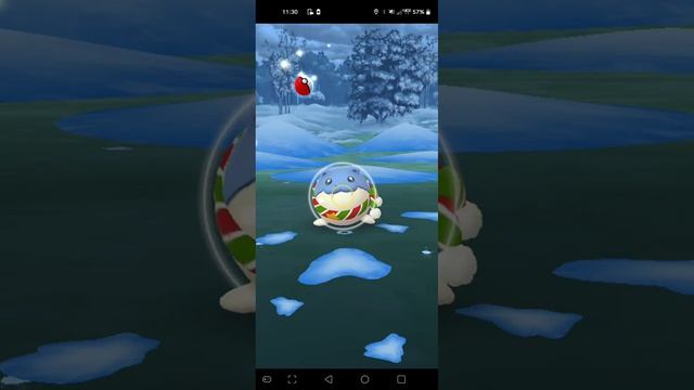 Spheal Christmas Scarf смотреть онлайн