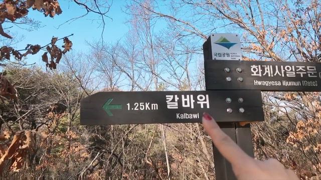 HIKING IN KOREA/ ПОХОД В ГОРЫ смотреть онлайн
