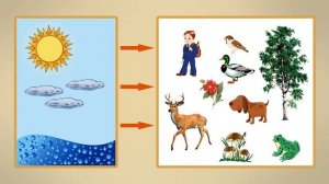 Неживая и живая природа. Видеоурок по окружающему миру 2  класс
