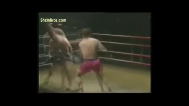 бойцы мма омска смотреть онлайн