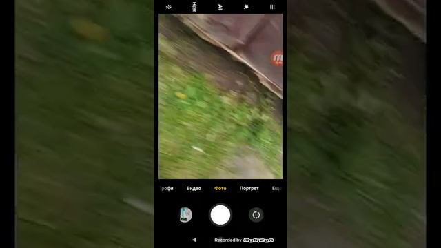 трюки на самокате около дома на досках и кирпичах смотреть онлайн