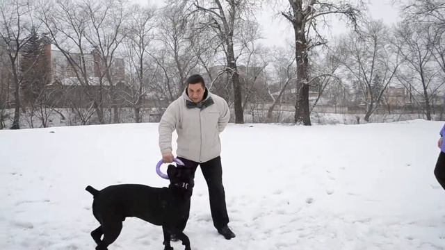 ПУЛЛЕР - ВЫТЯГИВАНИЕ