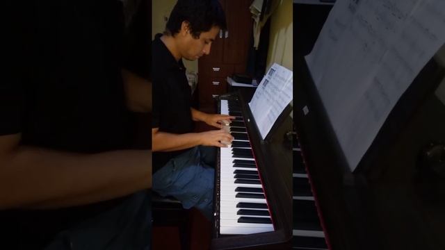 Tocando la partitura "Patita" en el Piano Digital Pearl River V-05 смотреть онлайн